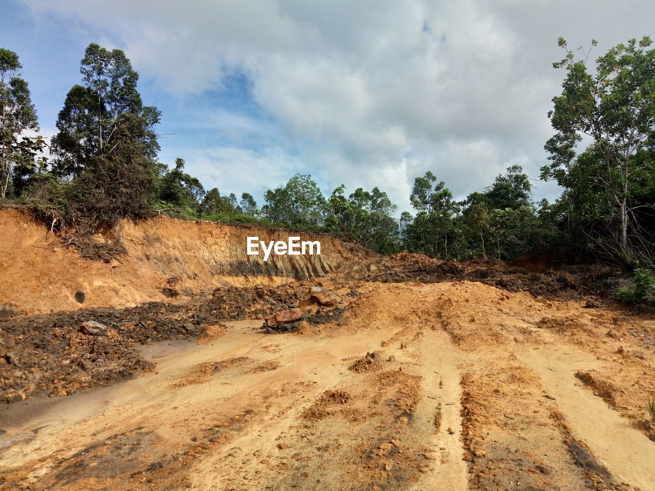 Dirt road amidst trees on field against sky