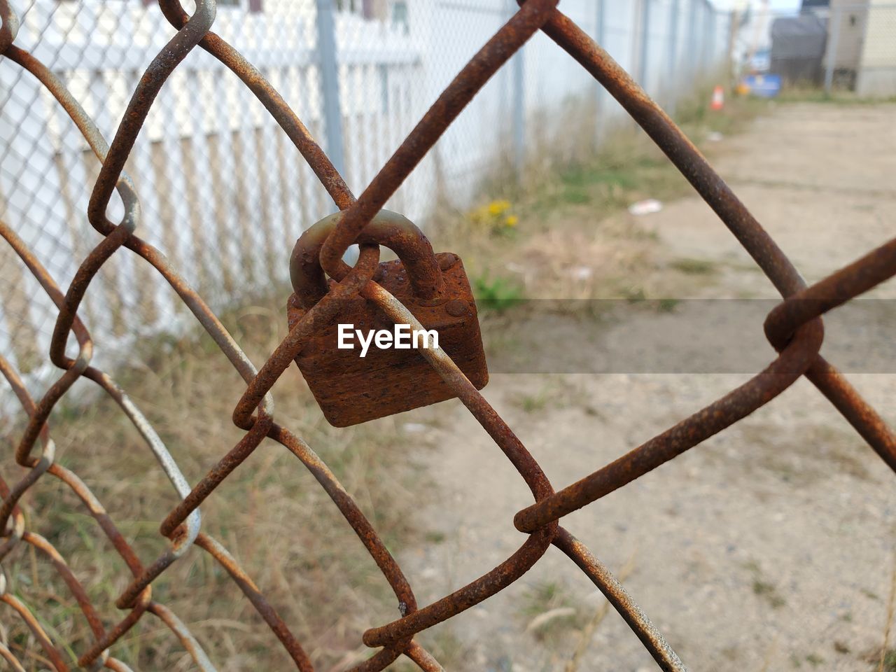 Close-up of padlock on chainlink fence