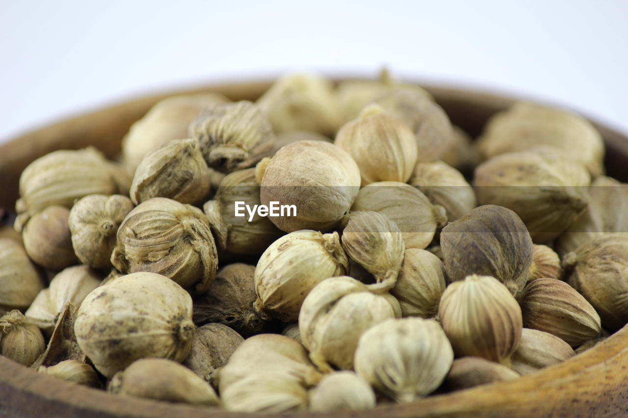 Cardamom spices and herbs used for cooking