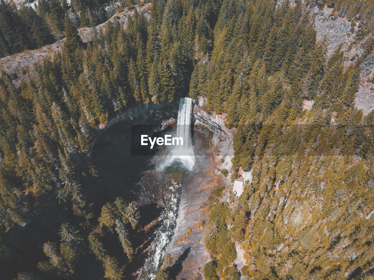 Aerial view of waterfall in forest