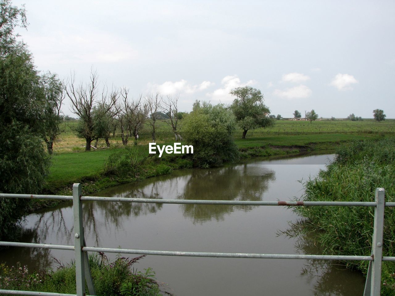 SCENIC VIEW OF GREEN LANDSCAPE AGAINST SKY