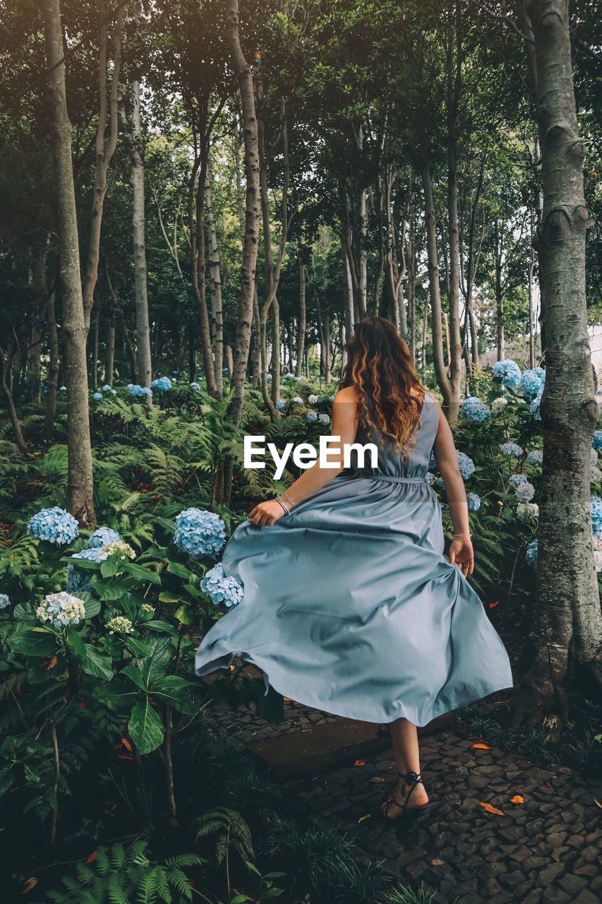 Rear view of woman by plants and trees in forest