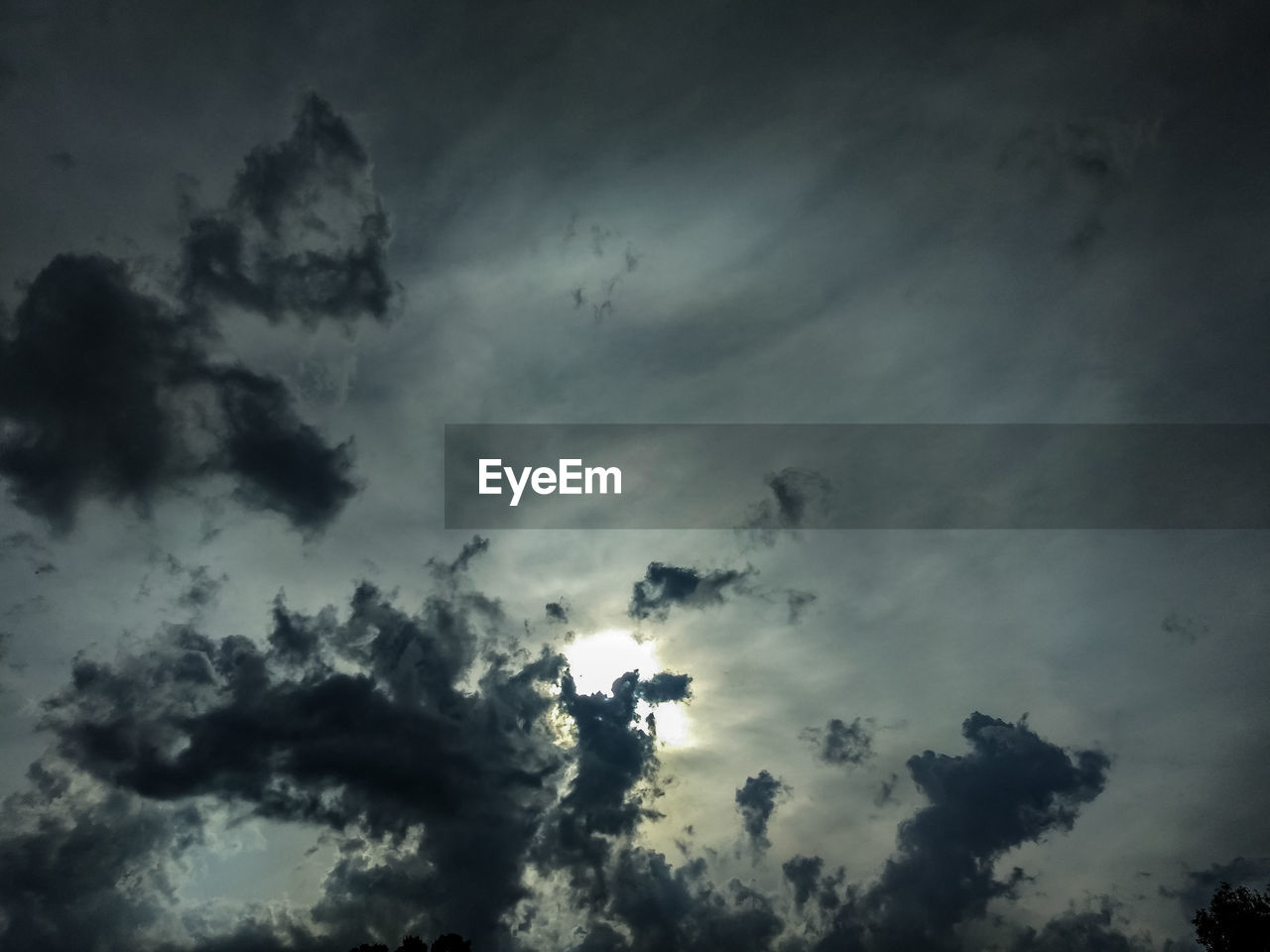 LOW ANGLE VIEW OF SILHOUETTE TREE AGAINST SKY
