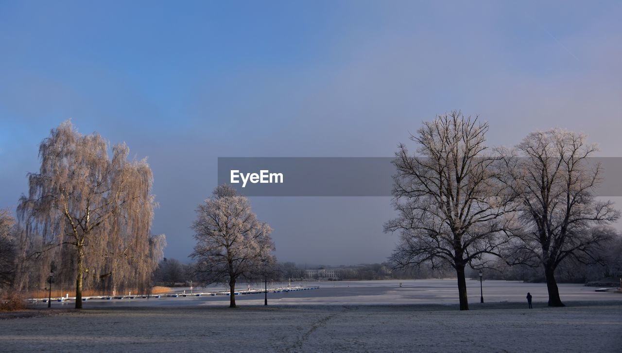 TREES ON SNOW COVERED LANDSCAPE AGAINST CLEAR SKY