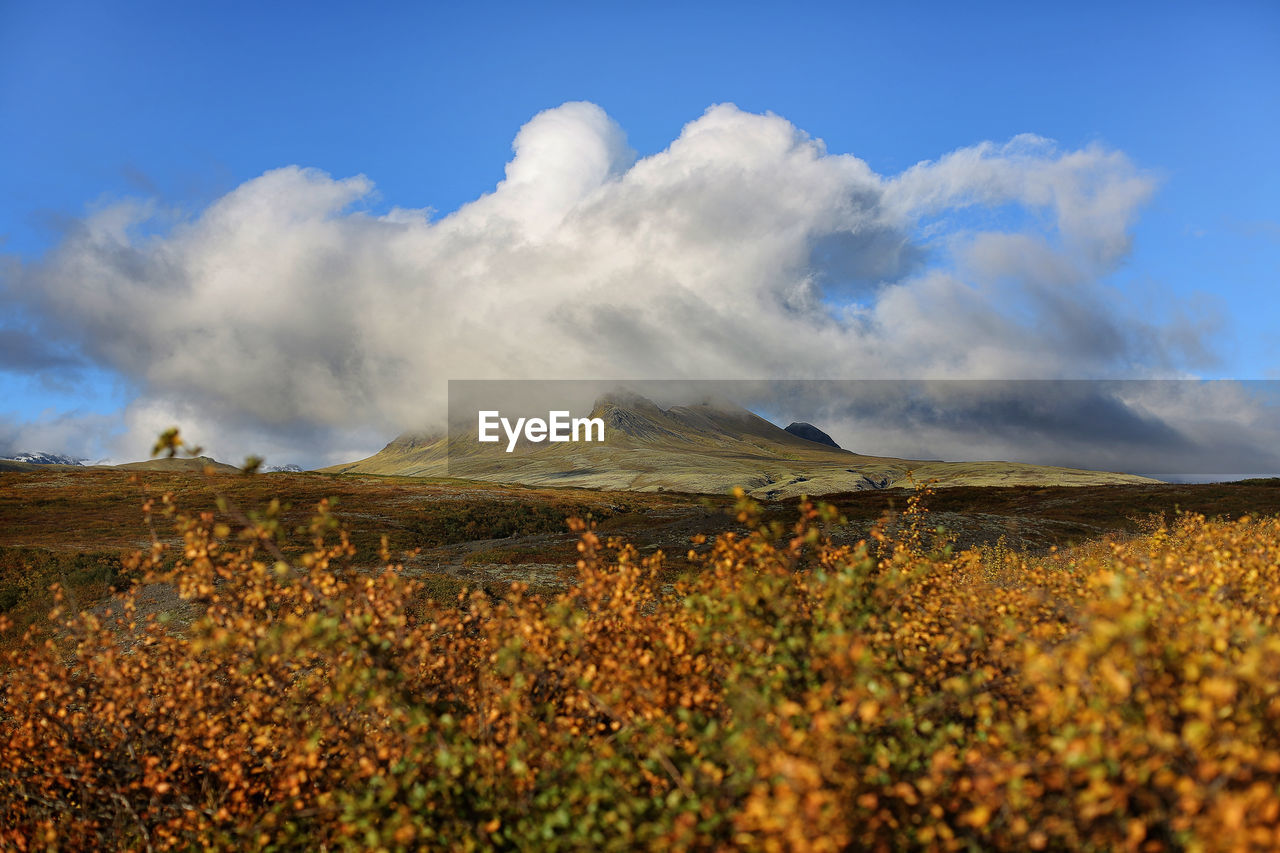 Scenic view of skaftafell national park against cloudy sky