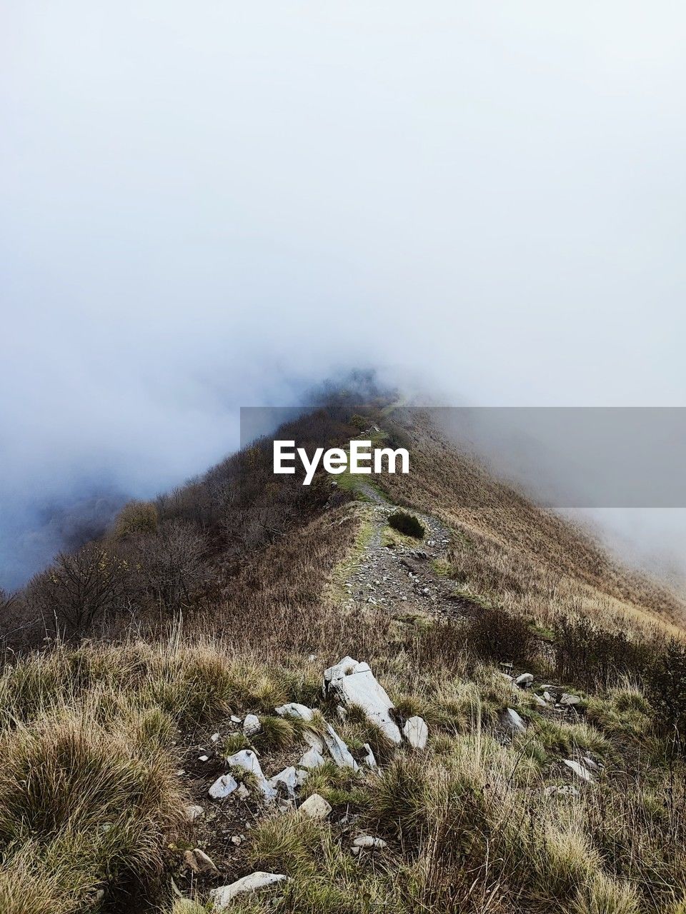 nature, mountain, environment, plant, fog, wilderness, beauty in nature, scenics - nature, landscape, sky, land, no people, ridge, tranquility, grass, non-urban scene, tranquil scene, cloud, day, snow, outdoors, rock, summit, adventure, travel destinations, plateau, travel, tourism, tree, sea, cold temperature, mist, walking