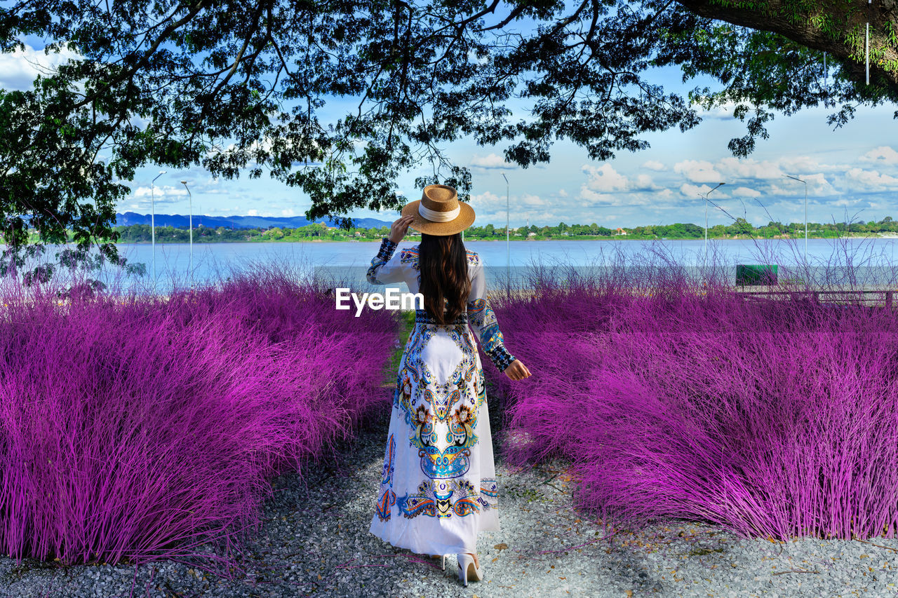 Rear view of woman standing on pink flowering plants against sky