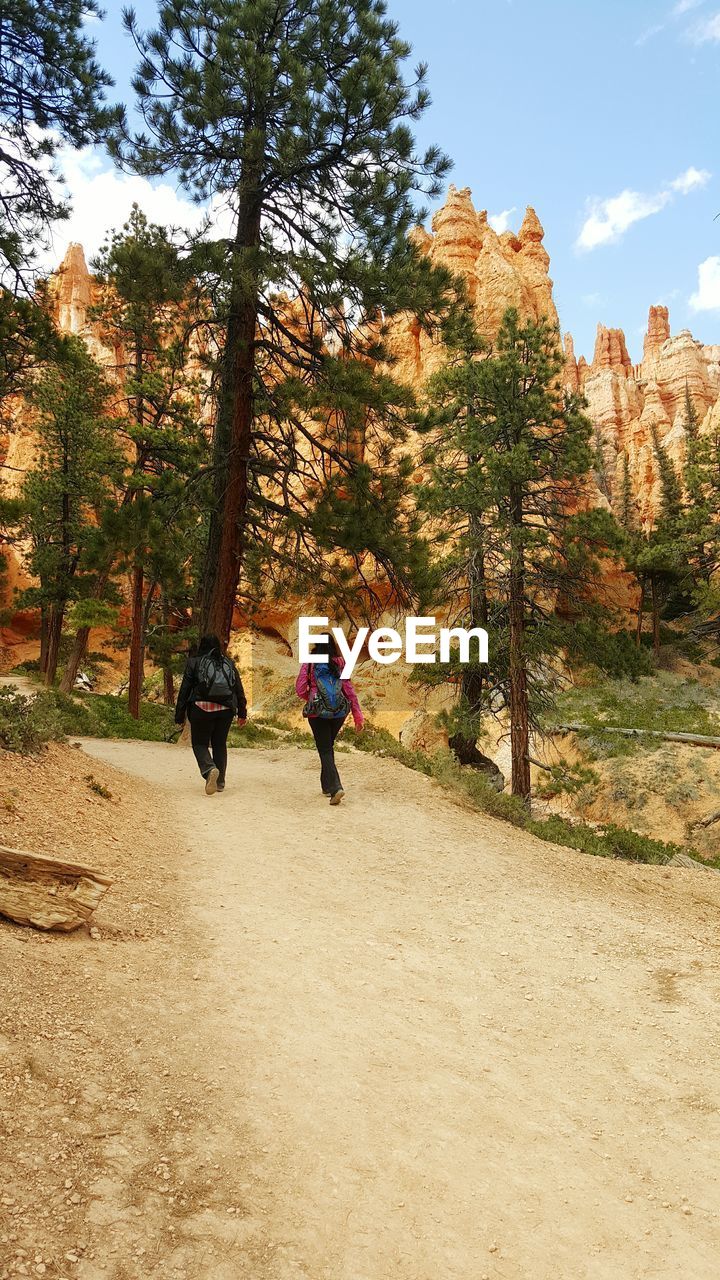 Rear view of women walking in navajo loop trail at bryce canyon national park