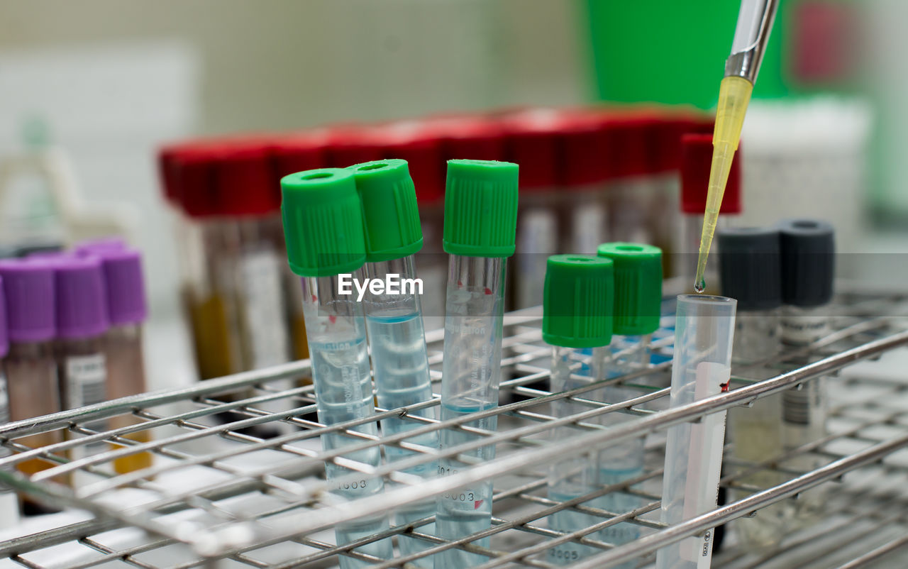 Close-up of test tubes in rack