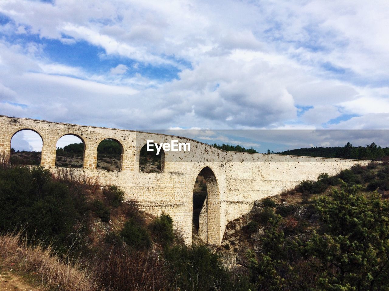 Arched bridge with lush foliage in foreground