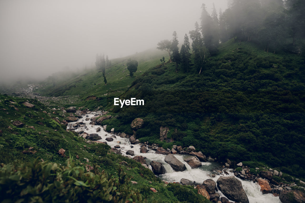 fog, environment, mountain, nature, land, plant, tree, landscape, scenics - nature, forest, mountain range, beauty in nature, travel, sky, mist, travel destinations, no people, tourism, social issues, valley, tranquility, pinaceae, ridge, coniferous tree, wilderness, non-urban scene, outdoors, pine tree, cold temperature, tranquil scene, aerial photography, architecture, pine woodland, hill station, green, cloud, morning, winter, holiday, rock, water, vacation, mountain pass, trip, activity, environmental conservation, rural scene, plateau, overcast, day