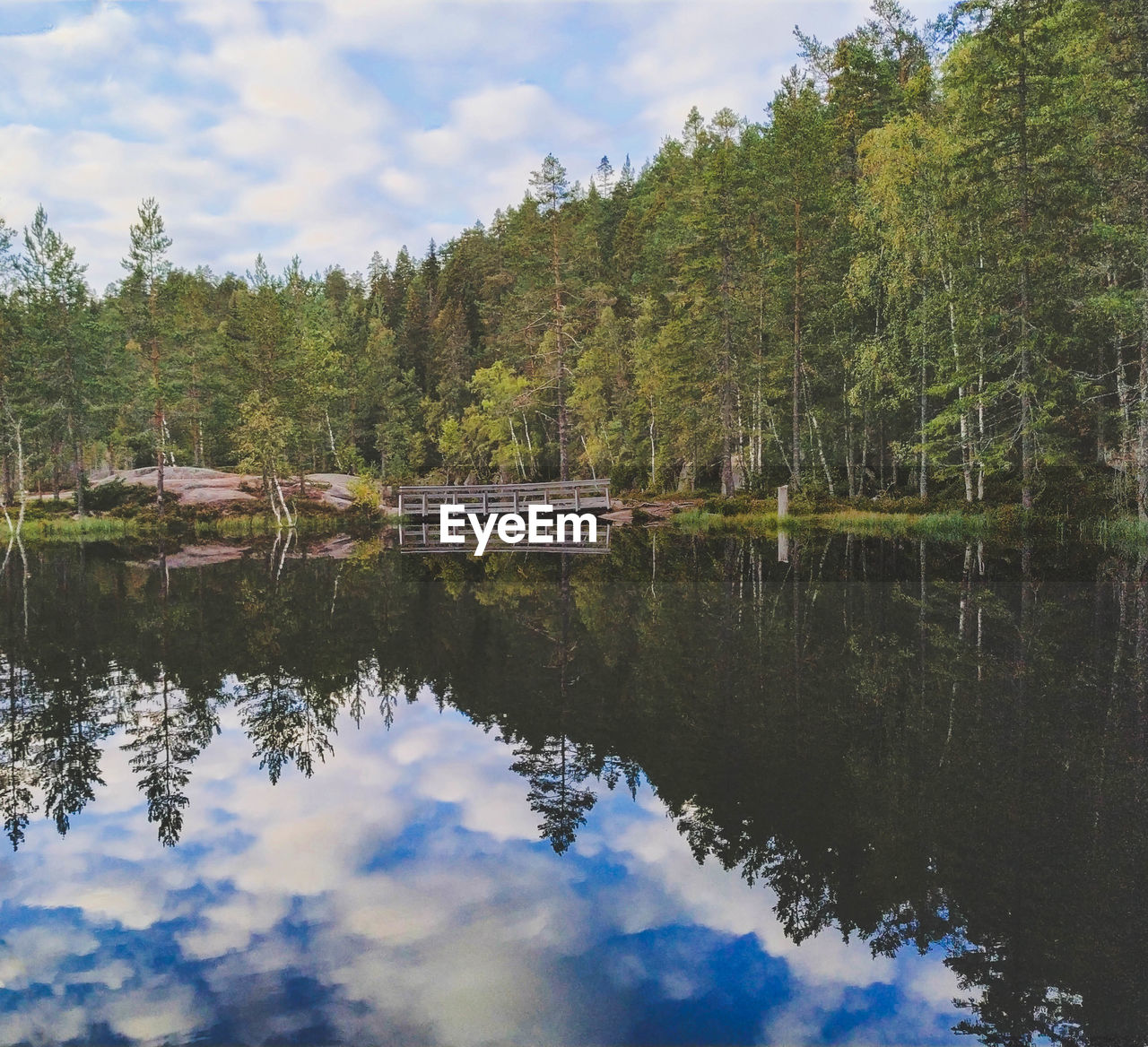 SCENIC VIEW OF LAKE BY TREES AGAINST SKY