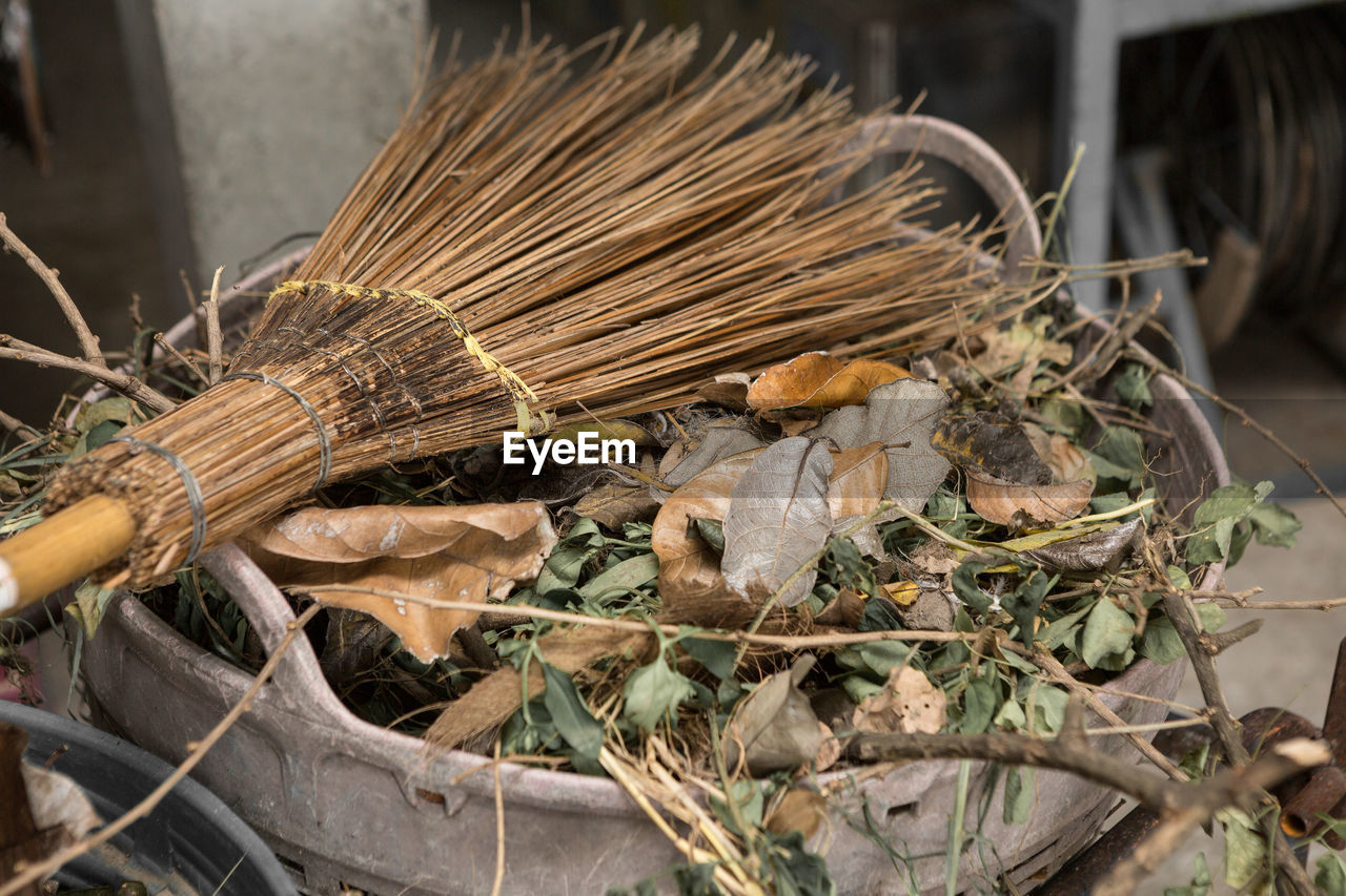 HIGH ANGLE VIEW OF DRIED PLANT IN CONTAINER