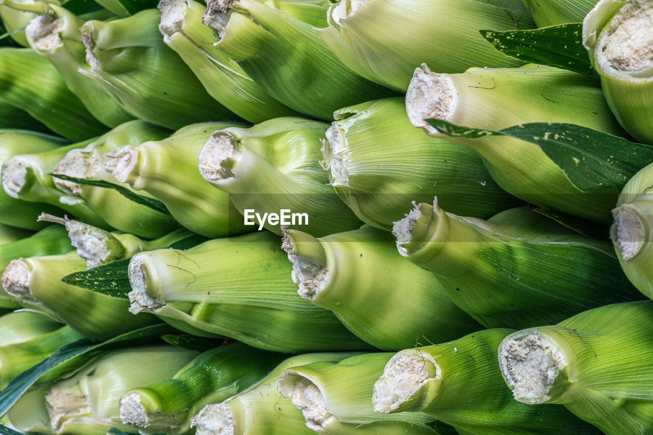 Full frame shot of freshly harvested and stacked esrs of corn for sale at market stall