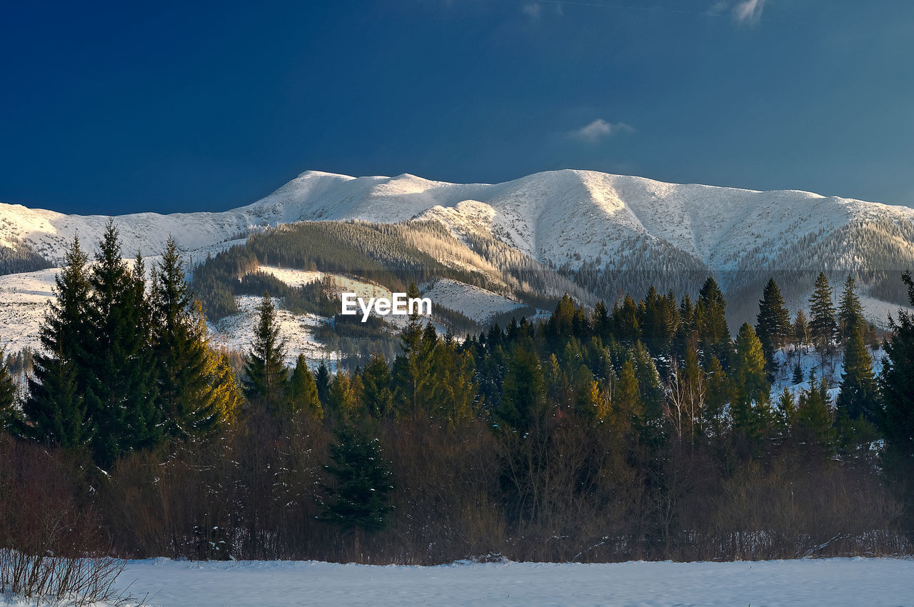 Scenic view of snow covered mountains against sky