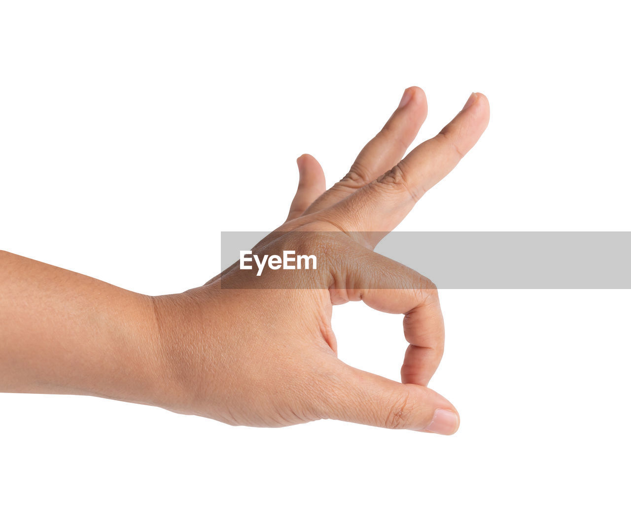 hand, finger, arm, cut out, white background, gesturing, studio shot, adult, limb, communication, indoors, human leg, close-up, touching, human joint, white, hand sign, business, human limb, one person, men, agreement