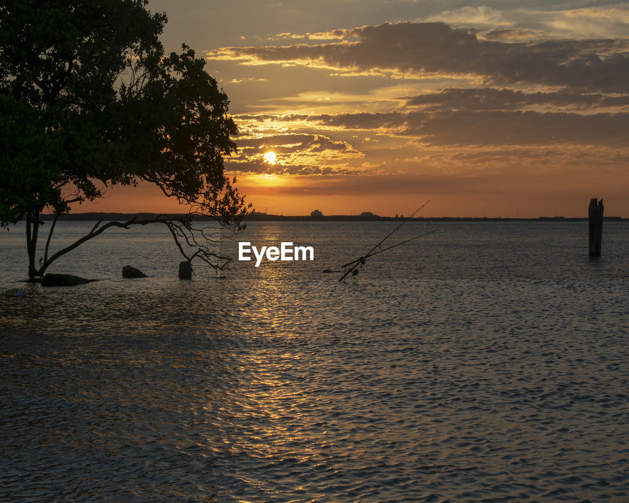 SILHOUETTE TREES BY SEA AGAINST ORANGE SKY