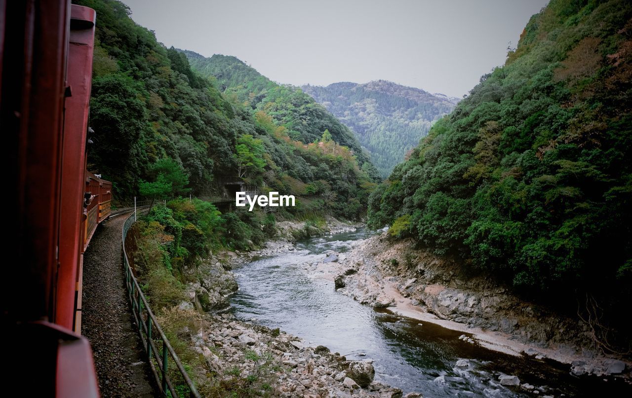 Scenic view of river amidst trees in forest