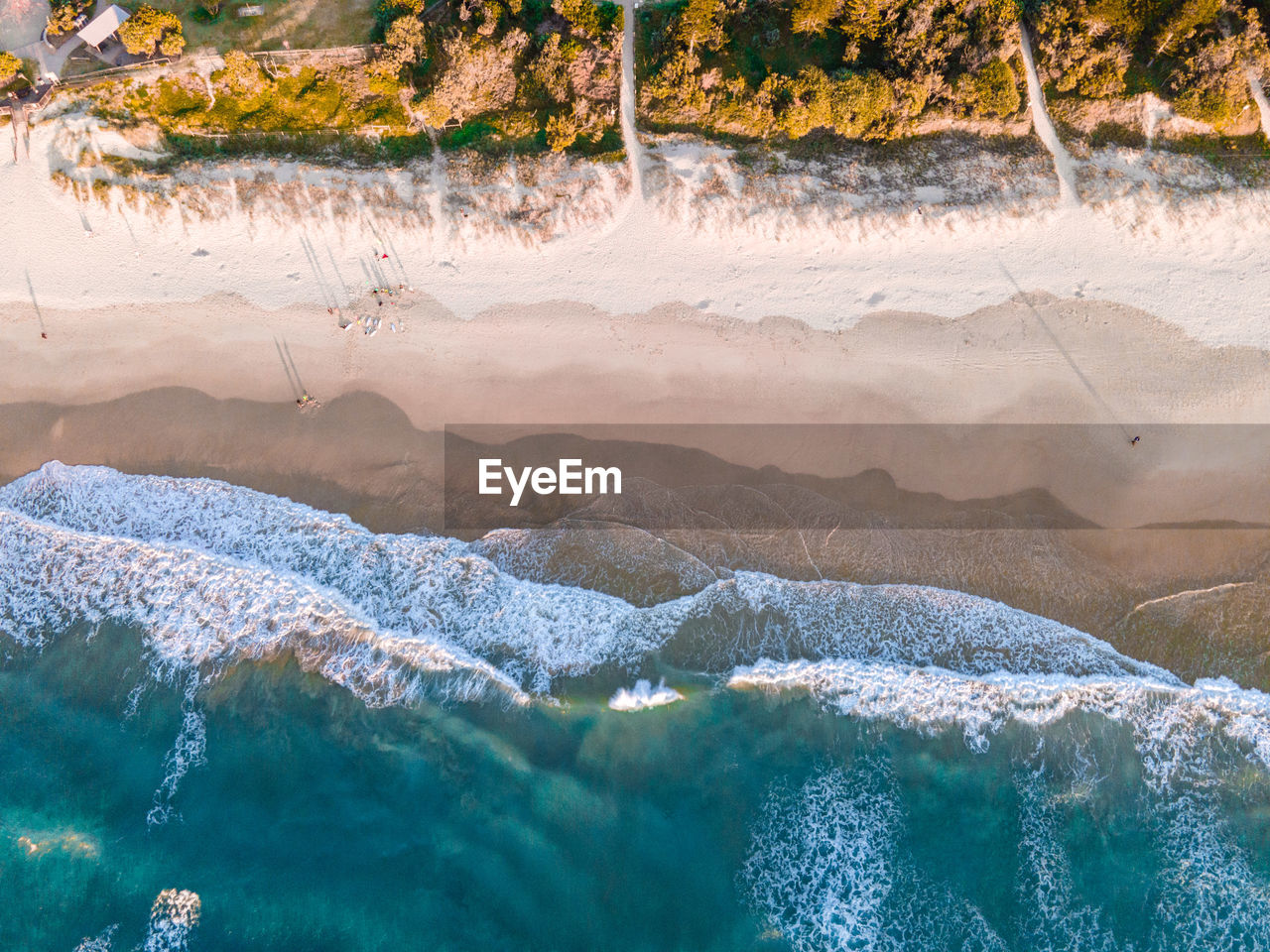 Aerial view of sea and trees