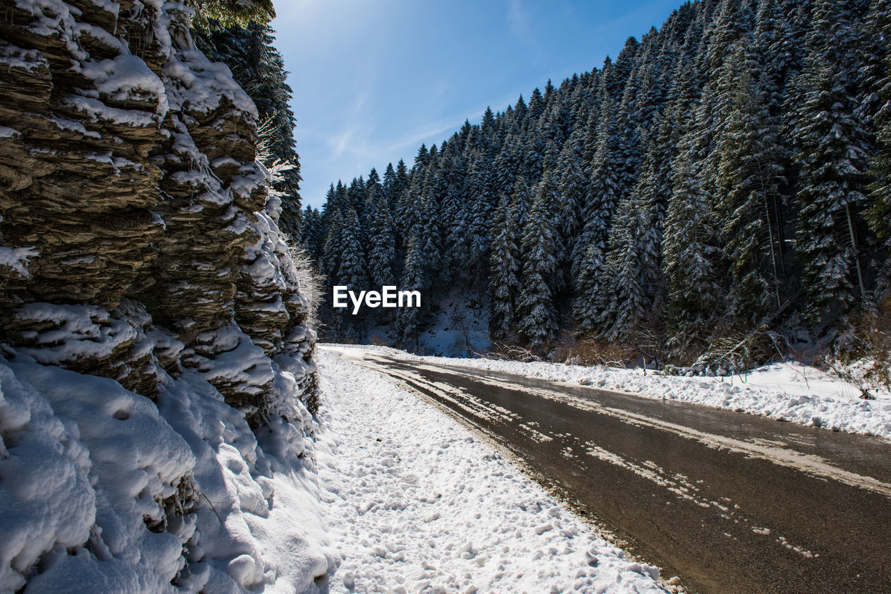 Snow covered land amidst trees against sky