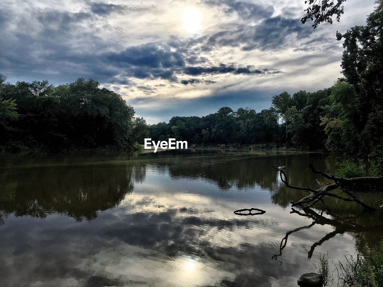 SCENIC VIEW OF LAKE AND TREES AGAINST SKY