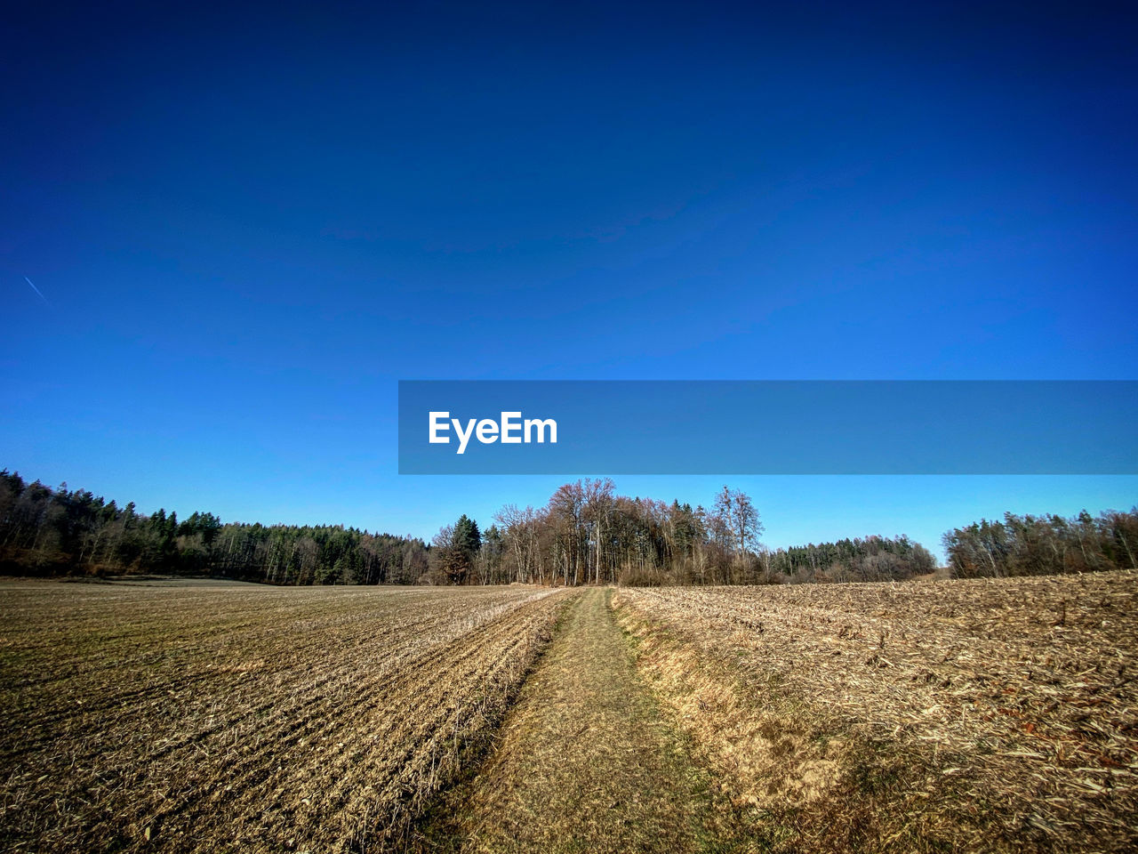 Scenic view of field against clear blue sky