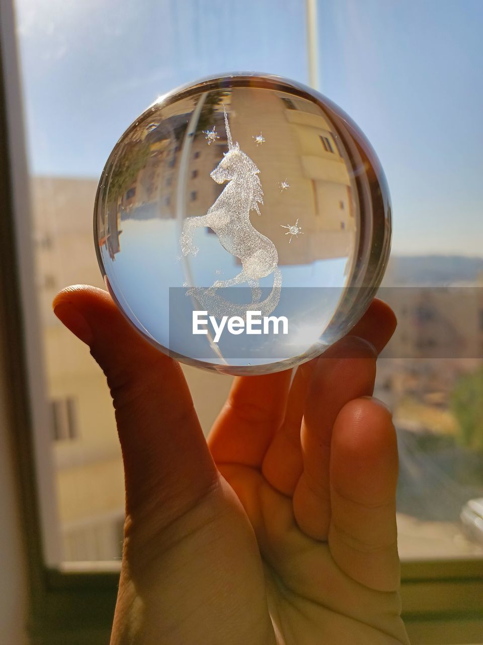 close-up of hand holding crystal ball