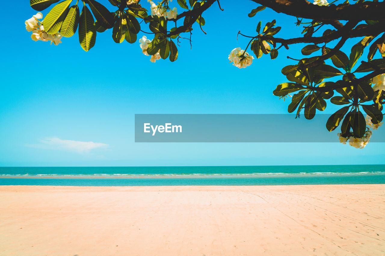 SCENIC VIEW OF SEA AGAINST BLUE SKY