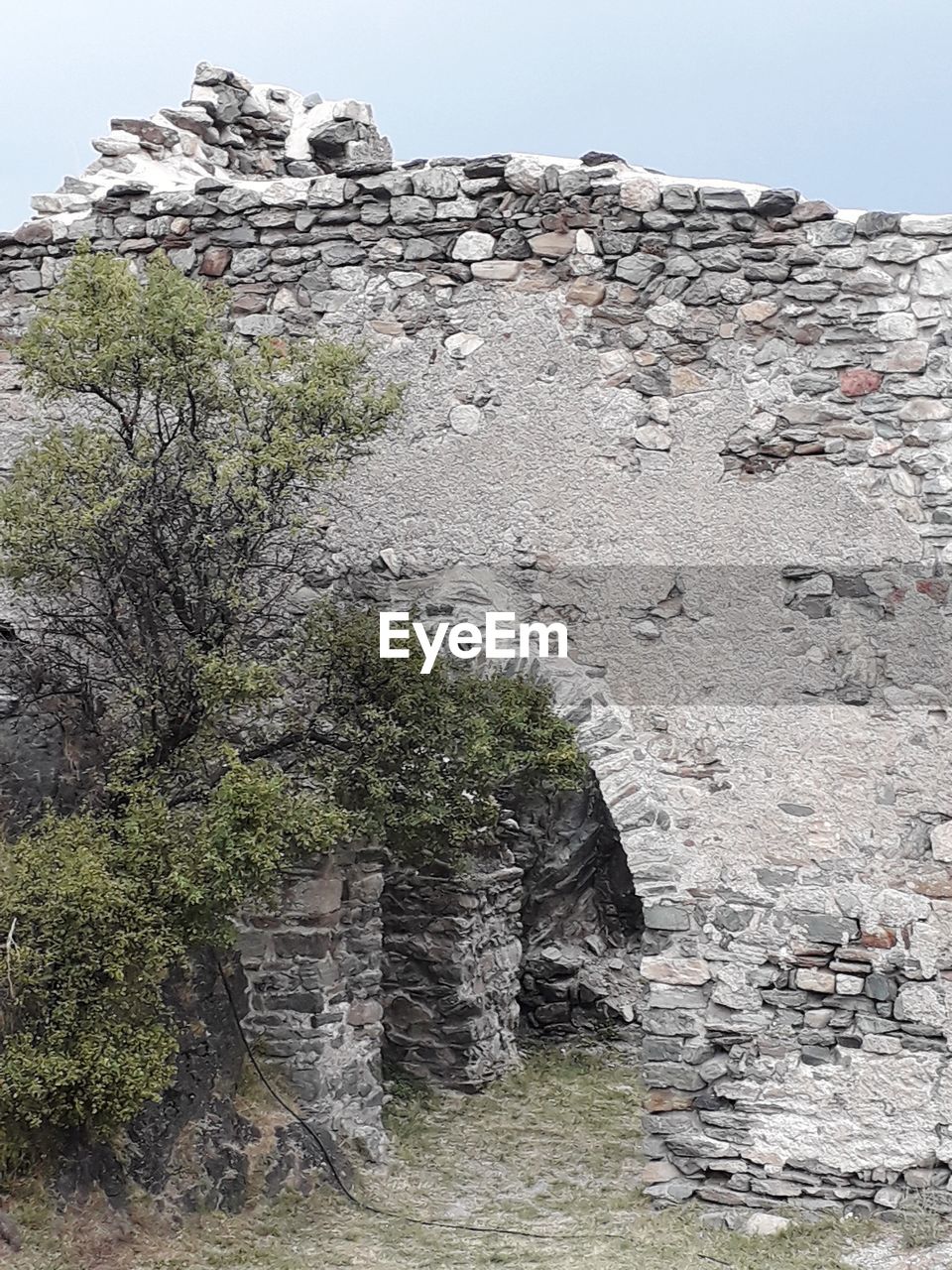 Trees and wall against clear sky