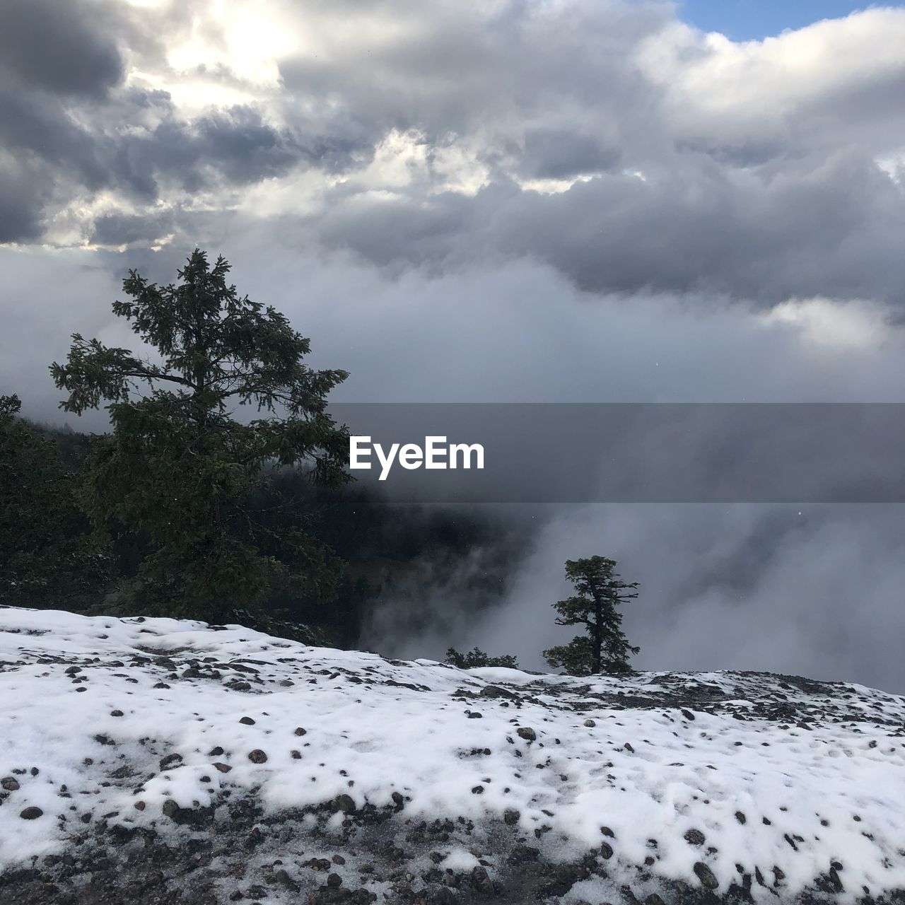 SNOW COVERED TREES AGAINST SKY