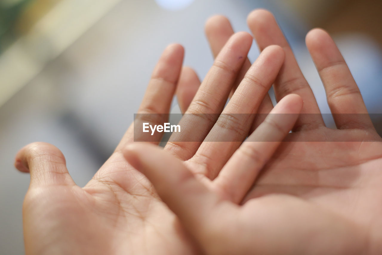 Close-up of hands cupped