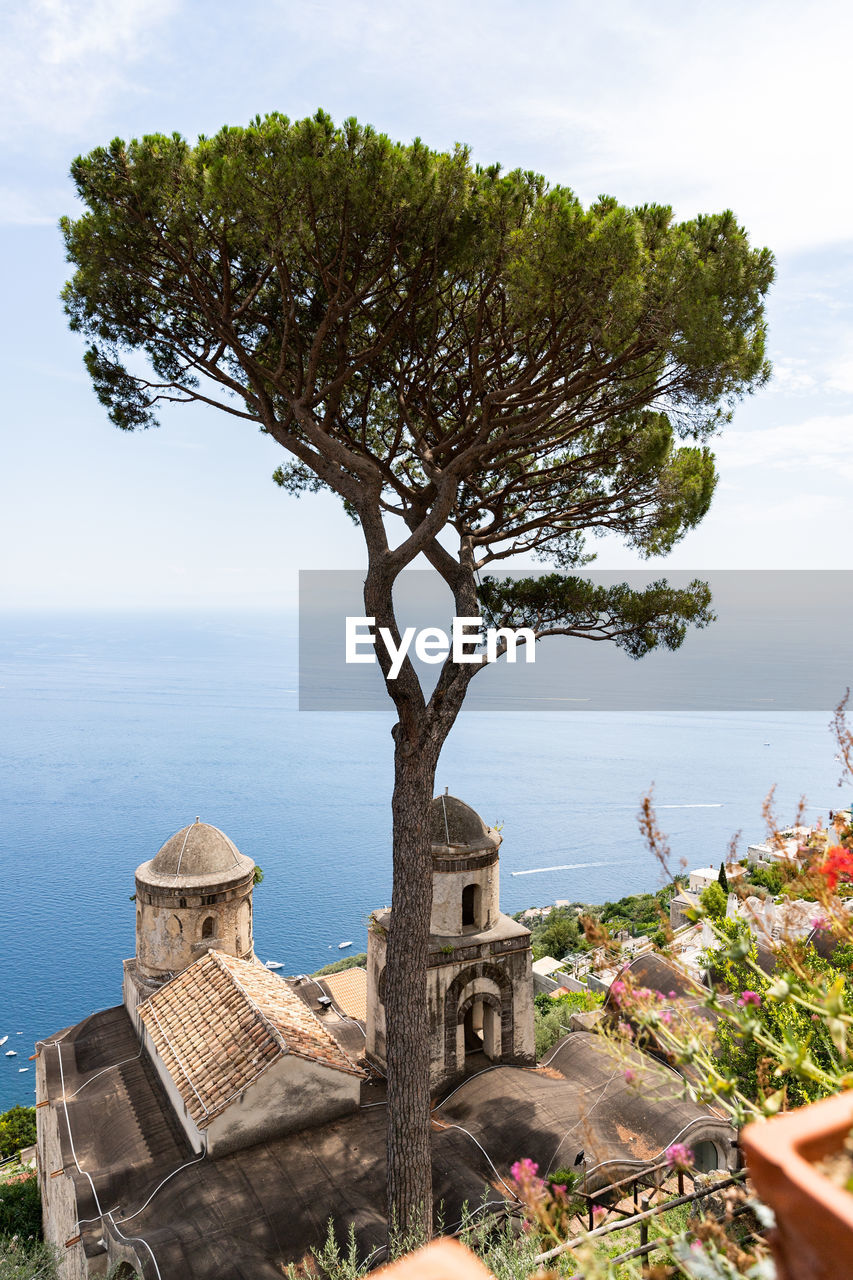 High angle view of tree by sea against sky