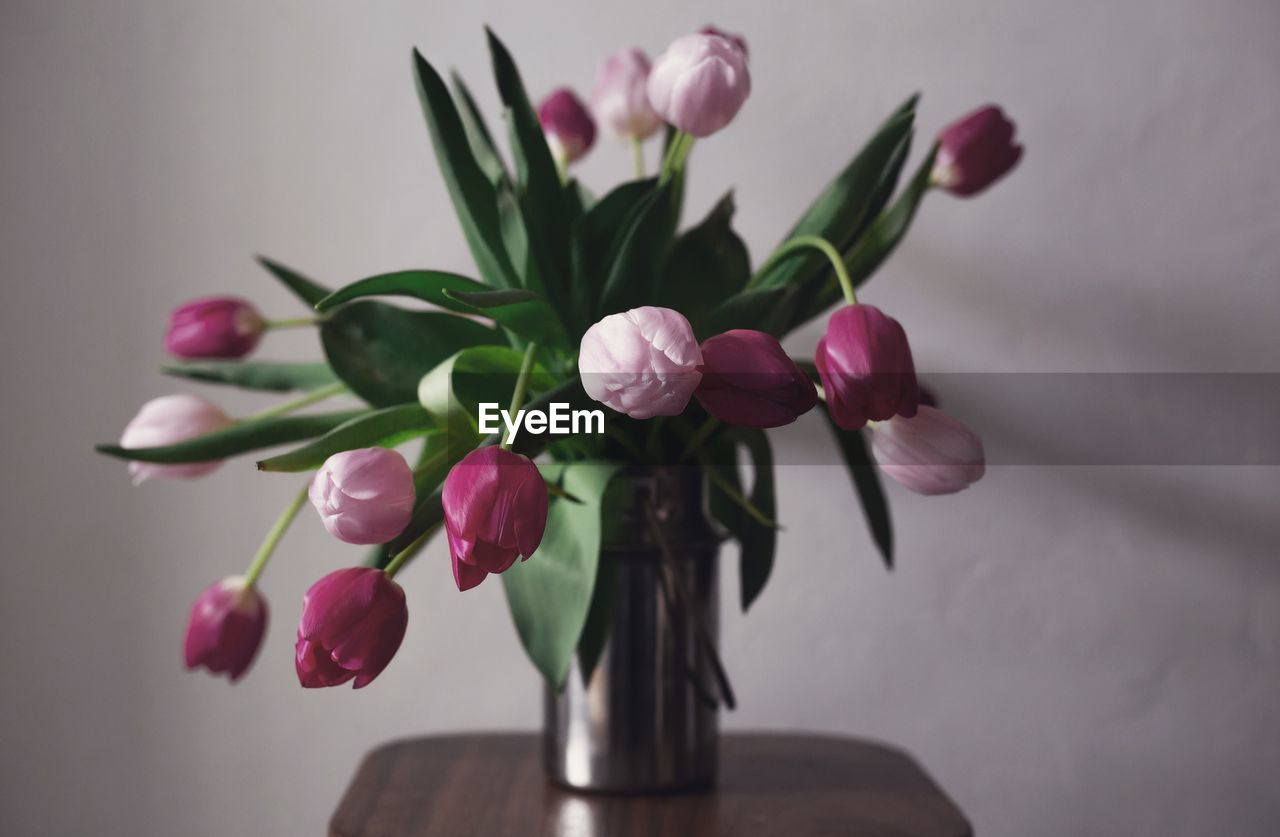 Close-up of pink tulips in vase on table against wall