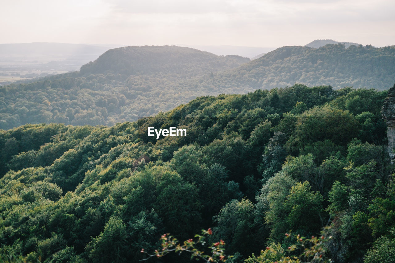 High angle view of trees and mountains against sky