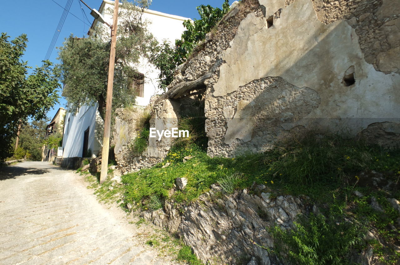 PANORAMIC VIEW OF TREES AND BUILDINGS