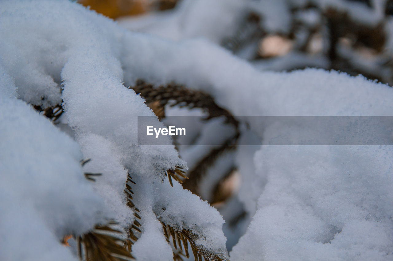 CLOSE-UP OF SNOW ON LAND