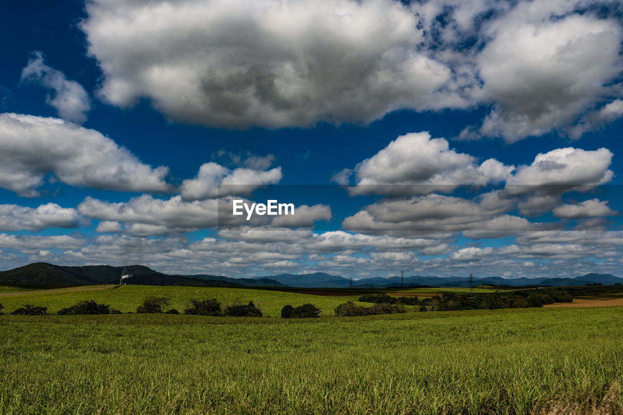 SCENIC VIEW OF AGRICULTURAL FIELD AGAINST BLUE SKY