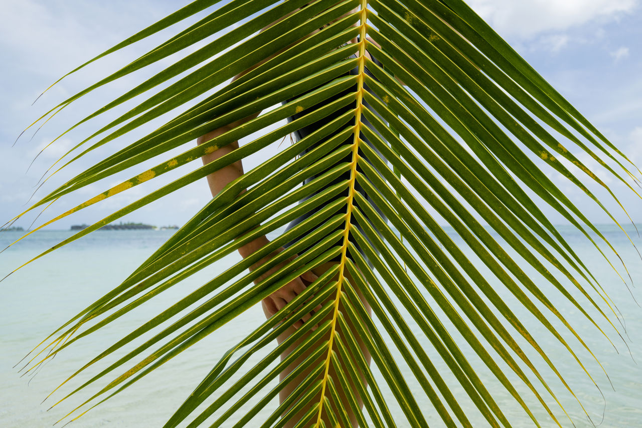 Woman standing in the water holding palm tree leaf