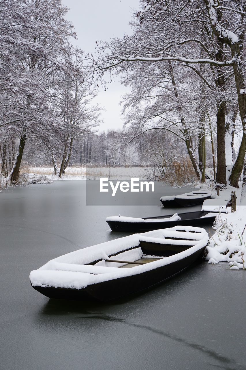 SNOW COVERED PLANTS BY LAKE AGAINST TREES