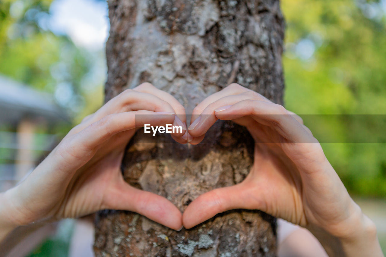Women's hands show the heart in front of the tree trunk.