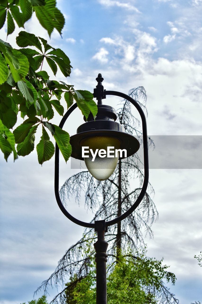 sky, cloud, nature, plant, street light, lighting equipment, tree, low angle view, green, lighting, no people, branch, outdoors, day, flower, street, leaf, light fixture, plant part, architecture, light, metal, growth