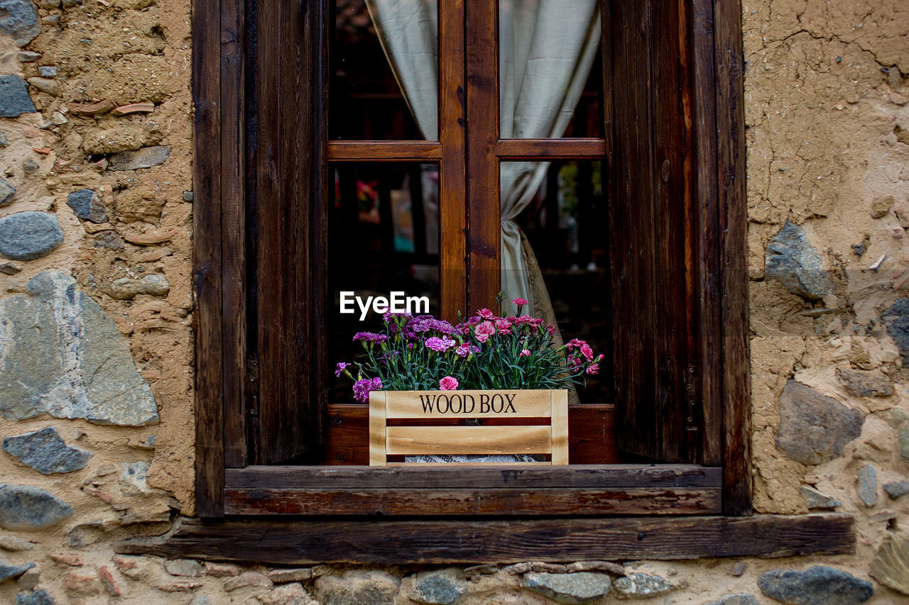 CLOSE-UP OF WINDOW WITH FLOWERS