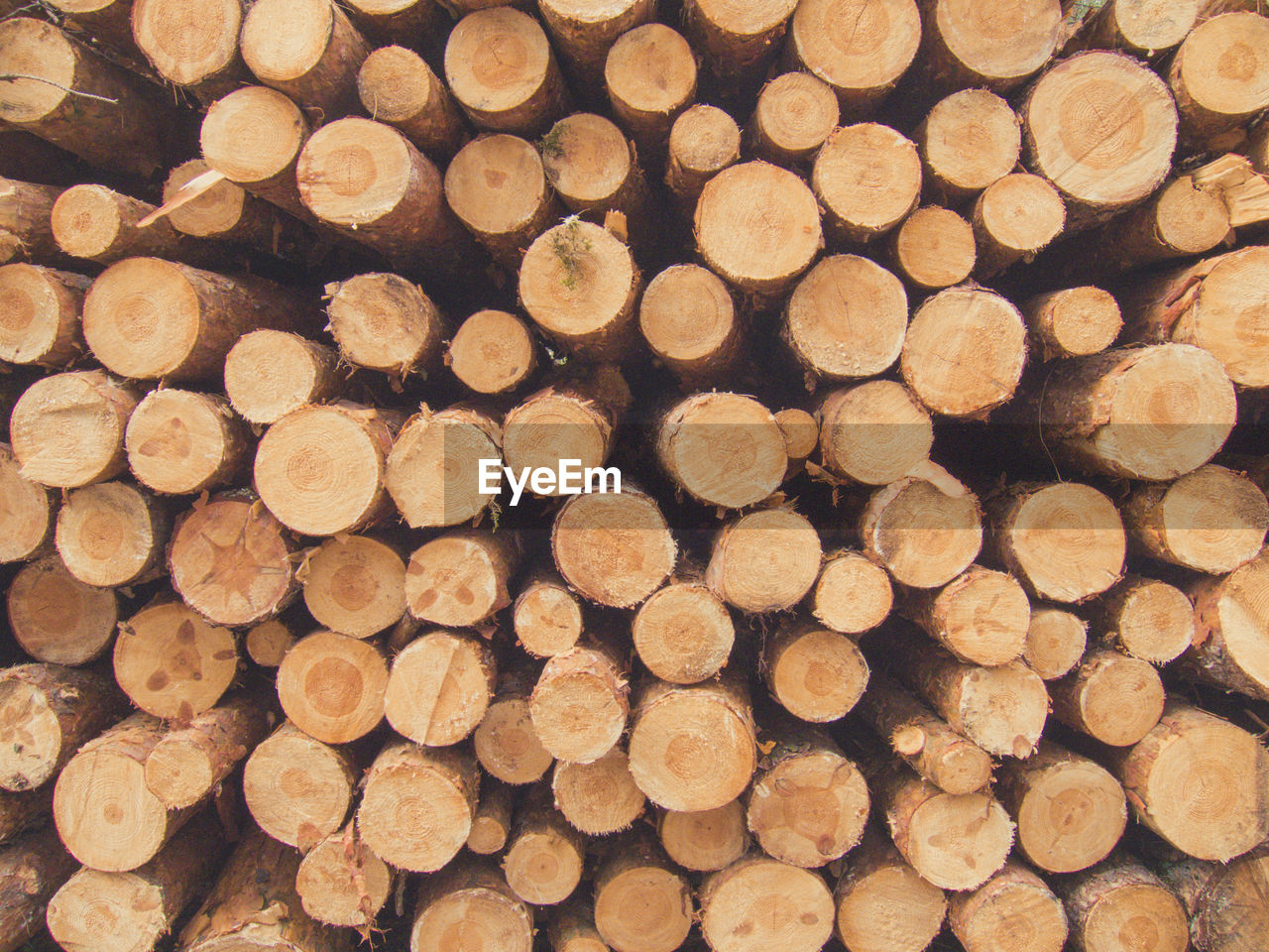 Full frame shot of logs
