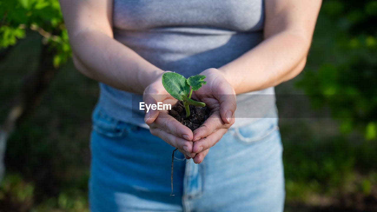 midsection of man holding plant outdoors