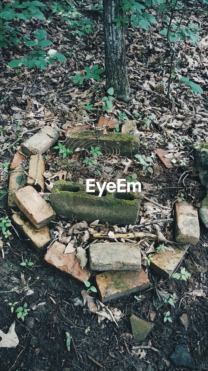 High angle view of bricks in forest