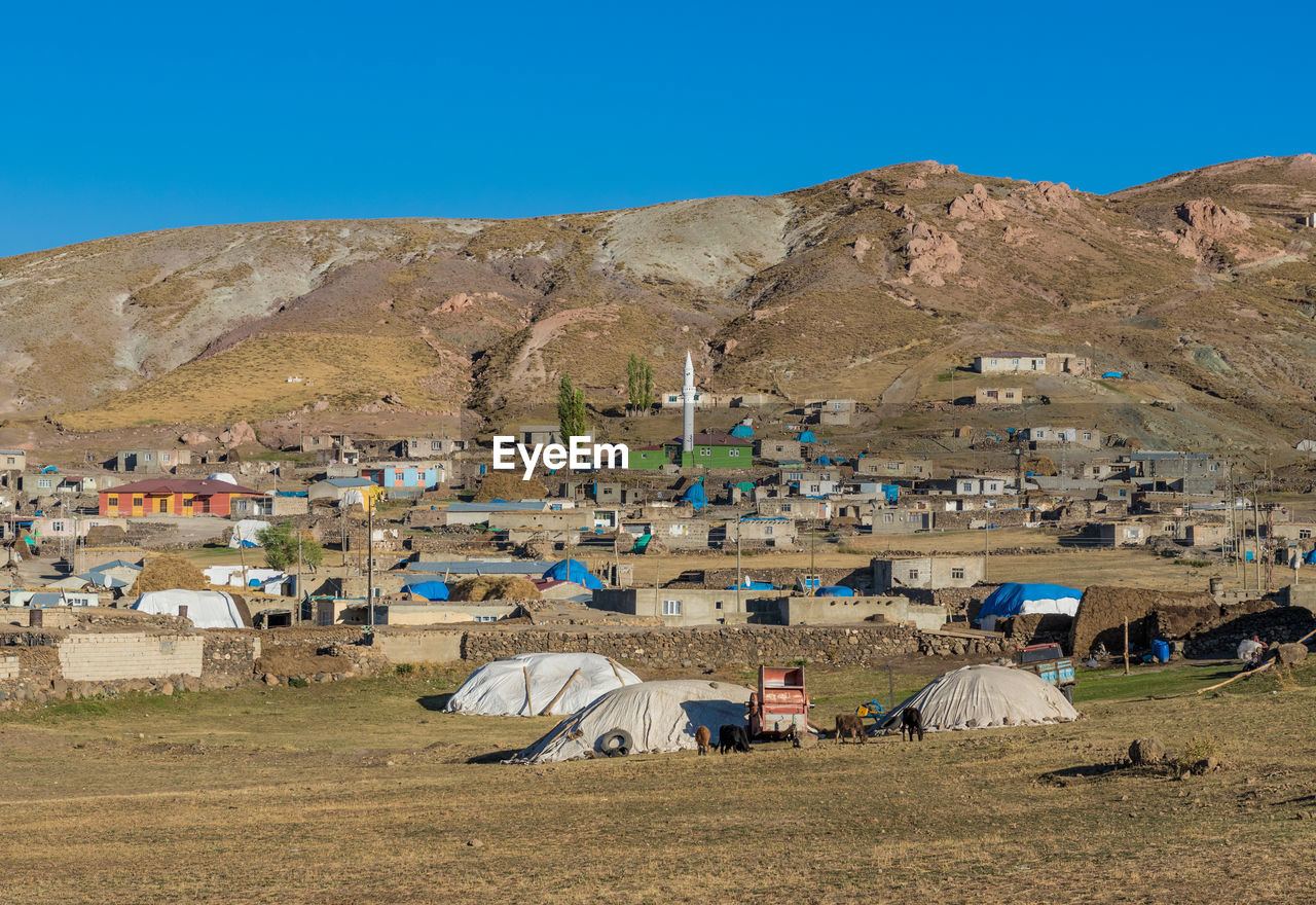 HOUSES BY ROAD AGAINST CLEAR SKY