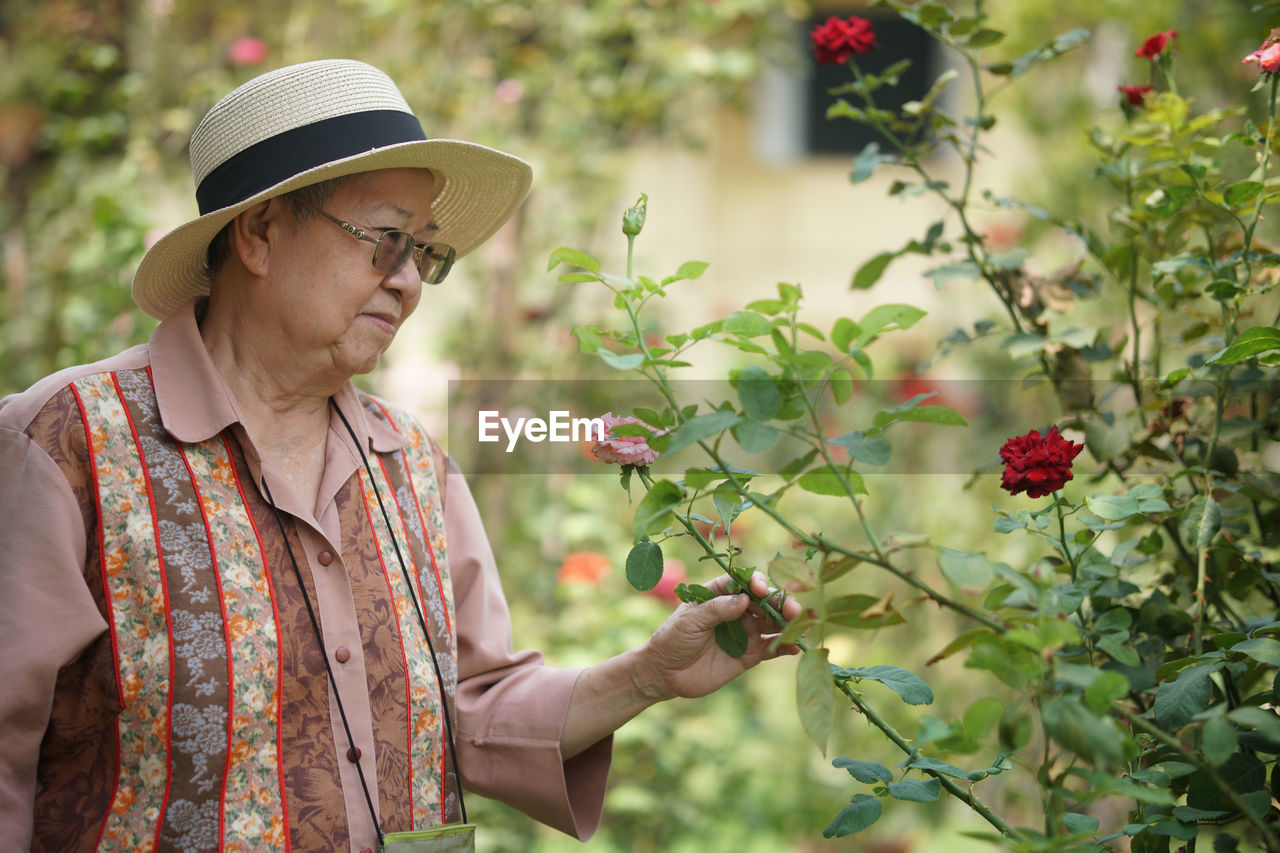 Asian old elderly elder woman resting relaxing in rose flower garden. senior leisure lifestyle