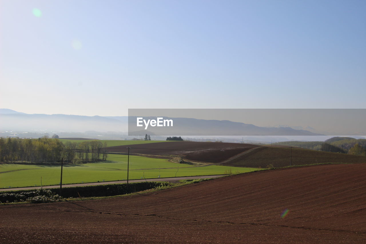 FIELD AGAINST SKY