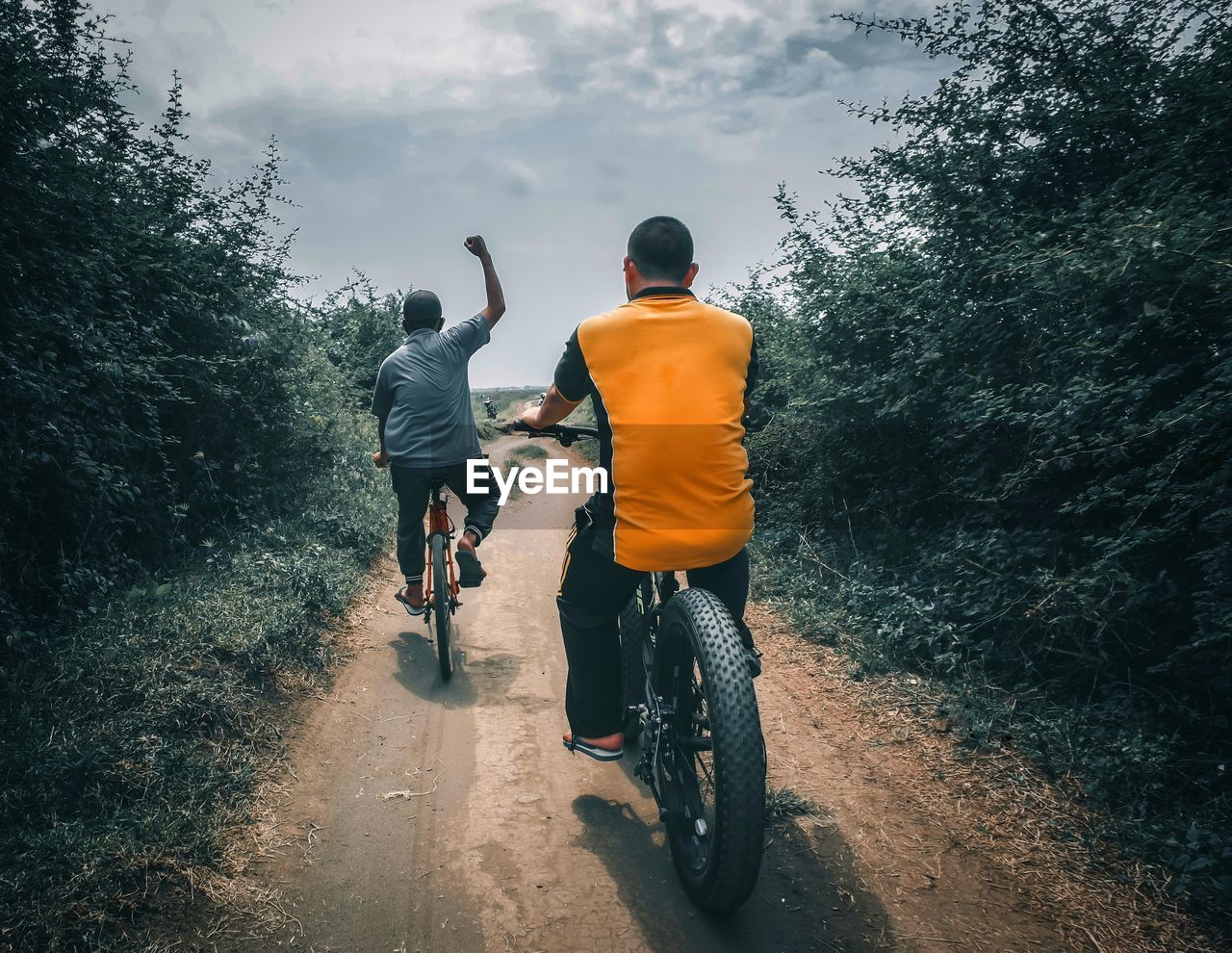 Rear view of man riding bicycle on road