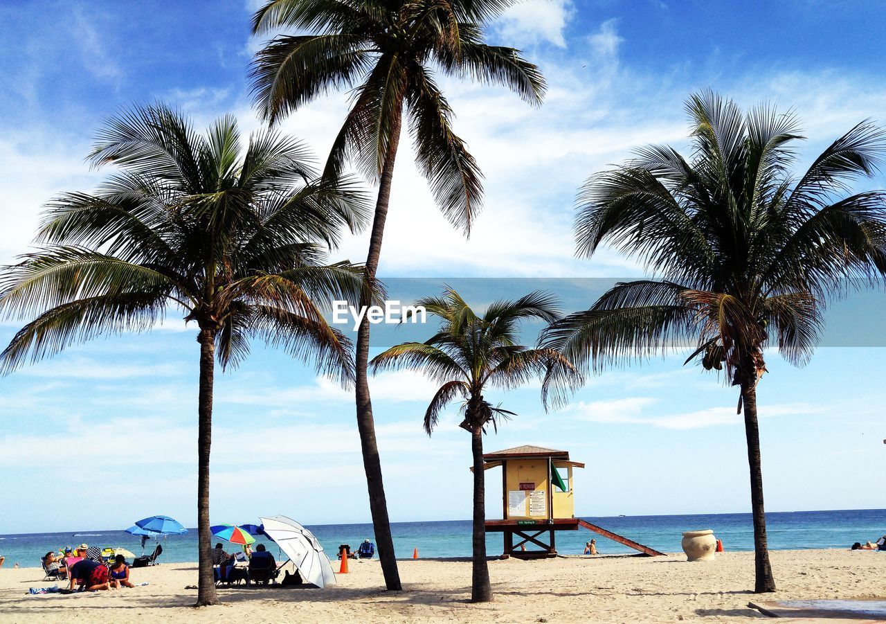 Coconut palm trees at beach against sky